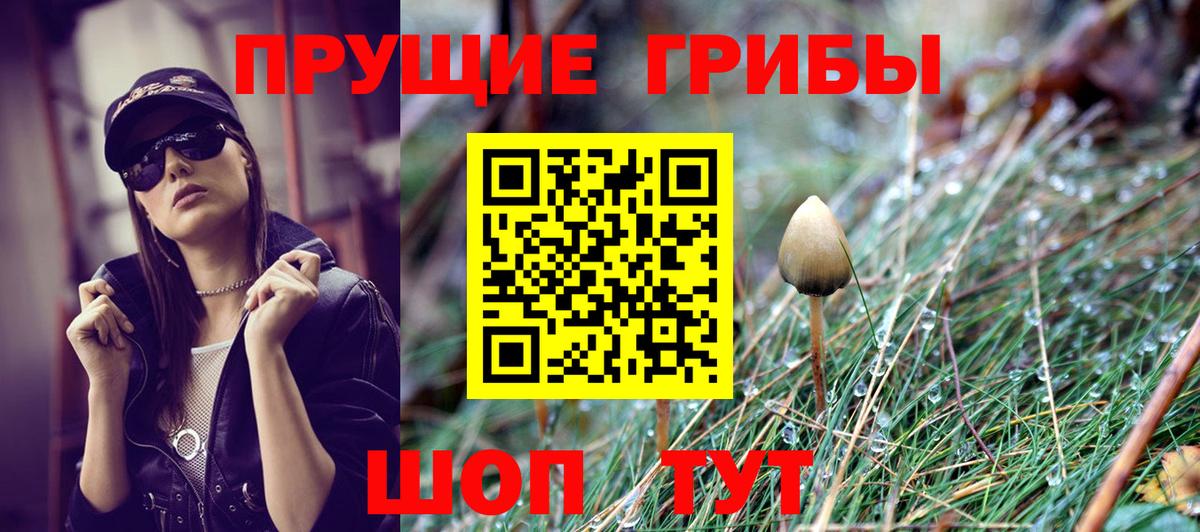 Псилоцибиновые грибы прущие грибы Клинцы